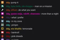 ddg-blame-the-chat