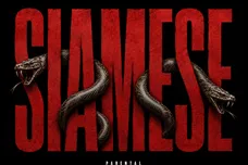 siamese