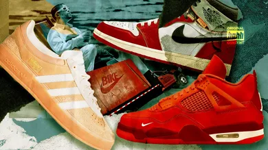 Sneaker Cover 1